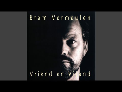 Bram Vermeulen - De Wedstrijd