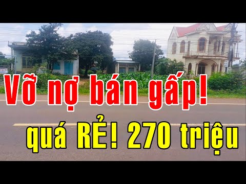 Tổng 270 triệu QUÁ RẺ! Vỡ nợ BÁN GẤP đất + nhà mặt tiền quốc lộ 14 có 100 thổ cư DT 384m2 ở Gia Lai