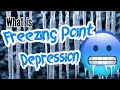 What is Freezing Point Depression?