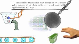 Natural Treatment Cure For Arthristis Natural Treatment Cure For Arthristis