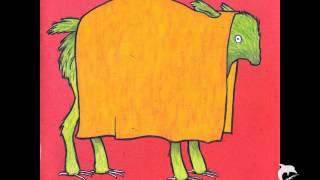 Watch Andrew Bird The Naming Of Things video