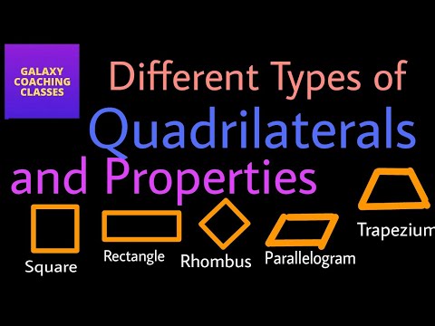 Properties Of Quadrilaterals Chart Pdf