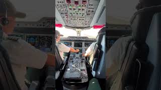 Inside The Airbus A350 Pit Pilots View At Cruise Alude