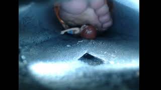 Giantess Feet Play With Little , Inshoe , Asmr
