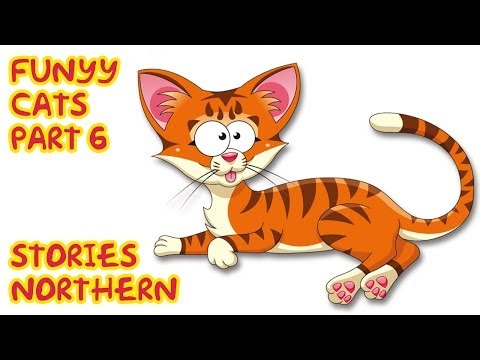Funny Cats part 6 Funny Cats part 6 klip izle