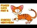 Funny Cats part 6 Funny Cats part 6