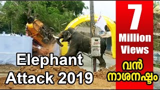 elephant attack kerala 2019 april kuzhalmannam