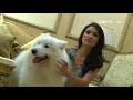 Entertainment News - Keith Agustine berbagi cara merawat anjing peliharaannya