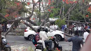 Chennai Road Accident | Videos on Car Accident