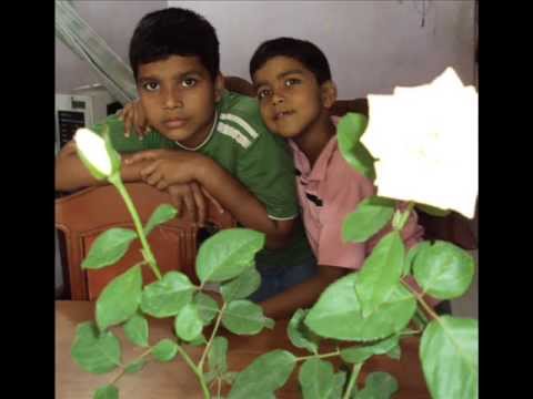chanda hai tu mera suraj hai tu................................!(...