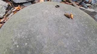 Stone Sphere In Bosnia