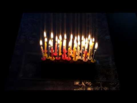 zum geburtstag hund