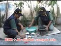 image Pengendali Hama Anik Untuk Padi