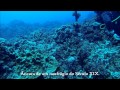 Ilha da Páscoa