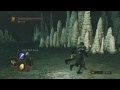 Dark Souls 2 Crown of the Sunken King DLC - Using The Dragon Stone - Part 10