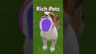 Pets Can Make You A Lot Of Money In The Sims 4 - Cats & Dogs Ep Needed