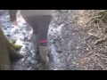 Muddy Stroll