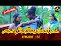 Nadagamkarayo Episode 183