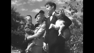 Blondie! - Penny Singleton, Arthur Lake