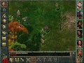 Baldur's Gate Playthrough 13 - Prism & Greywolf, High Hedge