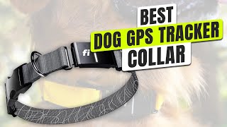 Top 3 Best Gps Dog Tracking Collar