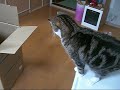 maru