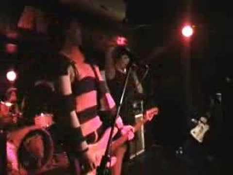 Zebra Video