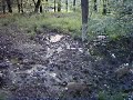 Selata, seznámení s kalištěm