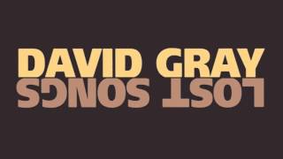 Watch David Gray Tidal Wave video