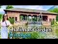 शालीमार बाग का पूरा इतिहास ।Shalimar garden srinagar | pooja ranaut | #srinagar | #kashmir |