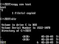 MS DOS