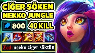 Q Attiğim Hayata Küsüyor Bu Çar Metayi Deği̇şti̇ri̇r Ci̇ğer Söken Neeko Oynaniş