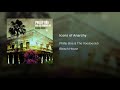 Icons Of Anarchy Video preview