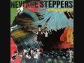 New Age Steppers- Guiding Star