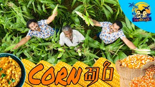Corn Curry - Lakai Sikai Travelthiyaduwa