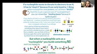 Nucleophiles, electrophiles, & “bases” - nucleophilicity vx basicity, esp. in protein biochemistry