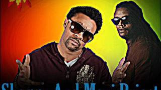 Watch Shaggy Perfect Song video