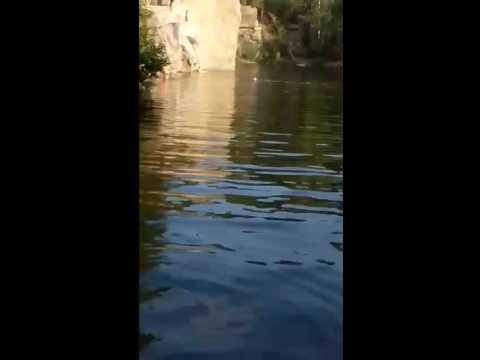 Коростышевский карьер