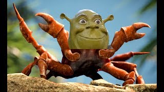 Crab Star - Noisemouth
