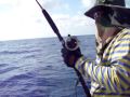 image Merah Menyala Dari Laut Dalam Zampro