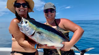 Yellowfin tuna action in Puerto Vallarta