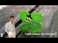 Cele Mai Ascultate 10 Manele Sorin Copilul De Aur Mix images Cele Mai Ascultate 10 Manele Sorin Copilul De Aur Mix