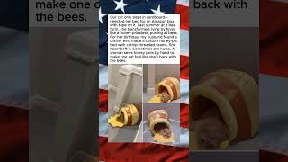 Bee Obsessed Cat Gets Honeypot Bed