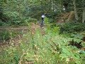 Danbury Common Gully Jump