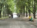 Видео Харьковский Вальс.mpg