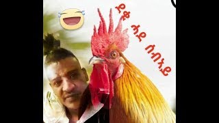 ERITREA New Offical Movies 2018 Bokre Tesfay was Live 5/25/18