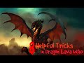 8 Helpful Tricks in Dragon Lava — Wild Animals Online