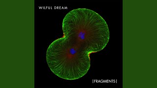 Watch Wilful Dream The Outsider video