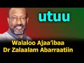 Walaloo Ajaa'ibaa Zalaalam Abarraa | Utuu | Zelalem Abera poem | Walaloo Afaan Oromoo
