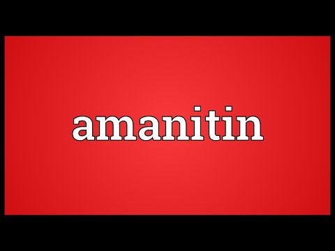 Header of Amanitin